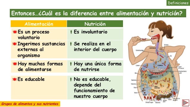 Grupos de alimentos y sus nutrientes