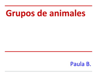 Grupos de animales




              Paula B.
 