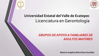 Universidad Estatal delValle de Ecatepec
Licenciatura en Gerontología
GRUPOS DE APOYO A FAMILIARES DE
ADULTOS MAYORES
MaestraAngélica María Razo González
 