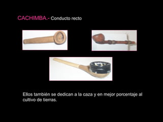 CACHIMBA .-   Conducto recto Ellos también se dedican a la caza y en mejor porcentaje al cultivo de tierras. 
