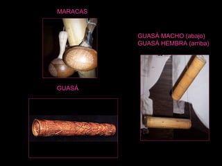 GUASÁ MARACAS GUASÁ MACHO (abajo) GUASÁ HEMBRA (arriba) 