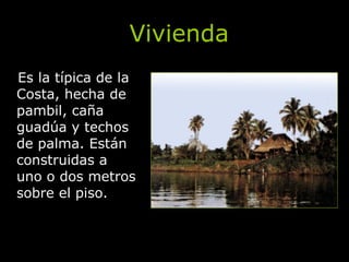 Vivienda Es la típica de la Costa, hecha de pambil, caña guadúa y techos de palma. Están construidas a uno o dos metros sobre el piso. 
