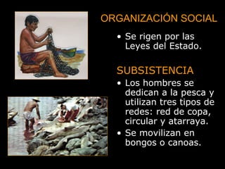 ORGANIZACIÓN SOCIAL Se rigen por las Leyes del Estado. SUBSISTENCIA Los hombres se dedican a la pesca y utilizan tres tipos de redes: red de copa, circular y atarraya. Se movilizan en bongos o canoas.   