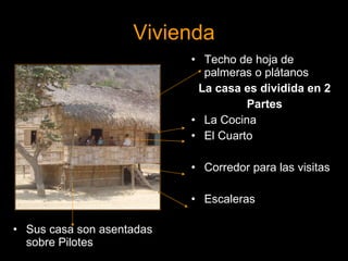 Vivienda Sus casa son asentadas sobre Pilotes Techo de hoja de palmeras o plátanos La casa es dividida en 2 Partes La Cocina El Cuarto Corredor para las visitas Escaleras 
