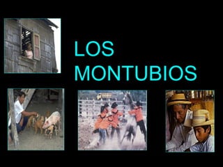 LOS  MONTUBIOS 