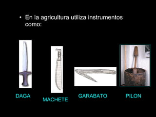 En la agricultura utiliza instrumentos  como: DAGA MACHETE GARABATO PILON 