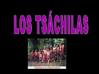 LOS TSÁCHILAS 