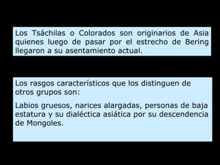 Los Tsáchilas o Colorados son originarios de Asia quienes luego de pasar por el estrecho de Bering llegaron a su asentamiento actual. Los rasgos característicos que los distinguen de otros grupos son:  Labios gruesos, narices alargadas, personas de baja estatura y su dialéctica asiática por su descendencia de Mongoles. 