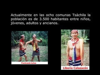 Actualmente en las ocho comunas Tsáchila la población es de 3.500 habitantes entre niños, jóvenes, adultos y ancianos.   