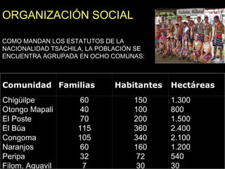 COMO MANDAN LOS ESTATUTOS DE LA NACIONALIDAD TSÁCHILA, LA POBLACIÓN SE ENCUENTRA AGRUPADA EN OCHO COMUNAS:  ORGANIZACIÓN SOCIAL Comunidad Familias Habitantes Hectáreas Chigüilpe Otongo Mapali El Poste El Búa Congoma Naranjos Peripa Filom. Aguavil  60 40 70 115 105 60 32 7 150 100 200 360 340 160 72 30 1.300 800 1.500 2.400 2.100 1.200 540 30 
