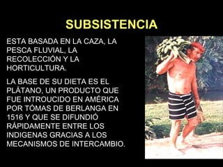 ESTA BASADA EN LA CAZA, LA PESCA FLUVIAL, LA RECOLECCIÓN Y LA HORTICULTURA.  LA BASE DE SU DIETA ES EL PLÁTANO, UN PRODUCTO QUE FUE INTROUCIDO EN AMÉRICA POR TÓMAS DE BERLANGA EN 1516 Y QUE SE DIFUNDIÓ RÁPIDAMENTE ENTRE LOS INDIGENAS GRACIAS A LOS MECANISMOS DE INTERCAMBIO . SUBSISTENCIA 