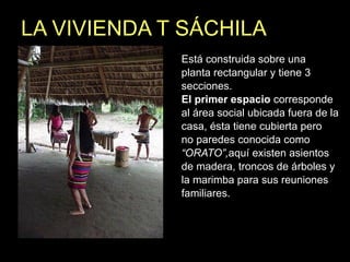 LA VIVIENDA T SÁCHILA Está construida sobre una planta rectangular y tiene 3 secciones. El  primer espacio  corresponde al área social ubicada fuera de la casa, ésta tiene cubierta pero  no paredes conocida como  “ ORATO”, aquí existen asientos de madera, troncos de árboles y  la marimba para sus reuniones  familiares. 