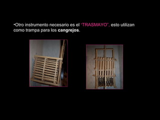 Otro instrumento necesario es el  “ TRASMAYO” ,  esto utilizan como trampa para los  cangrejos . “ vista de lado” “ vista de frente” 