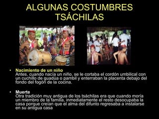 ALGUNAS COSTUMBRES TSÁCHILAS Nacimiento de un niño   Antes, cuando nacía un niño, se le cortaba el cordón umbilical con un cuchillo de guadúa o pambil y enterraban la placenta debajo del fondo del fogón de la cocina.  Muerte   Otra tradición muy antigua de los tsáchilas era que cuando moría un miembro de la familia, inmediatamente el resto desocupaba la casa porque creían que el alma del difunto regresaba a instalarse en su antigua casa 