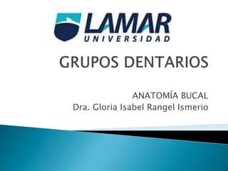 ANATOMÍA BUCAL
Dra. Gloria Isabel Rangel Ismerio
 