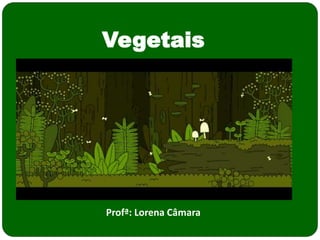 Vegetais
Profª: Lorena Câmara
 