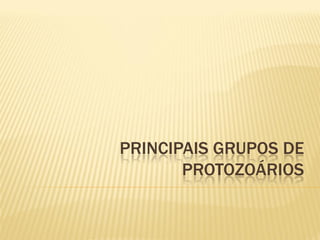 PRINCIPAIS GRUPOS DE
       PROTOZOÁRIOS
 