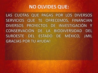 LAS CUOTAS QUE PAGAS POR LOS DIVERSOS
SERVICIOS QUE TE OFRECEMOS, FINANCIAN
DIVERSOS PROYECTOS DE INVESTIGACIÓN Y
CONSERVACIÓN DE LA BIODIVERSIDAD DEL
SUROESTE DEL ESTADO DE MÉXICO, ¡MIL
GRACIAS POR TU AYUDA!
NO OLVIDES QUE:
 