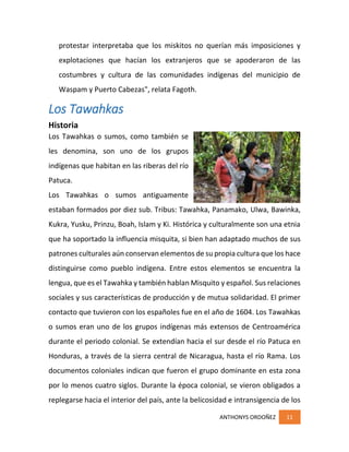 ANTHONYS ORDOÑEZ 11
protestar interpretaba que los miskitos no querían más imposiciones y
explotaciones que hacían los extranjeros que se apoderaron de las
costumbres y cultura de las comunidades indígenas del municipio de
Waspam y Puerto Cabezas", relata Fagoth.
Los Tawahkas
Historia
Los Tawahkas o sumos, como también se
les denomina, son uno de los grupos
indígenas que habitan en las riberas del río
Patuca.
Los Tawahkas o sumos antiguamente
estaban formados por diez sub. Tribus: Tawahka, Panamako, Ulwa, Bawinka,
Kukra, Yusku, Prinzu, Boah, Islam y Ki. Histórica y culturalmente son una etnia
que ha soportado la influencia misquita, si bien han adaptado muchos de sus
patrones culturales aún conservan elementos de su propia cultura que los hace
distinguirse como pueblo indígena. Entre estos elementos se encuentra la
lengua, que es el Tawahka y también hablan Misquito y español. Sus relaciones
sociales y sus características de producción y de mutua solidaridad. El primer
contacto que tuvieron con los españoles fue en el año de 1604. Los Tawahkas
o sumos eran uno de los grupos indígenas más extensos de Centroamérica
durante el periodo colonial. Se extendían hacia el sur desde el río Patuca en
Honduras, a través de la sierra central de Nicaragua, hasta el río Rama. Los
documentos coloniales indican que fueron el grupo dominante en esta zona
por lo menos cuatro siglos. Durante la época colonial, se vieron obligados a
replegarse hacia el interior del país, ante la belicosidad e intransigencia de los
 