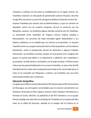 ANTHONYS ORDOÑEZ 12
misquitos o zambos; así fue como se establecieron en la región central. Los
Tawahkas muestran un alto grado de penetración cultural misquita. Durante
el siglo XIX, estuvieron a punto de extinguirse debido al reducido número de
mujeres Tawahkas por razones aún no determinadas y a que sus varones no
deseaban unirse con las mujeres misquitas. Ocurre lo contrario con los
Misquitos, quienes, sin problema alguno deciden juntarse con las Tawahkas.
La ancianidad entre Tawahkas de ninguna manera implica soledad y
desocupación. Las personas de edad avanzada siguen dedicándose a sus
labores cotidianas, en la medida que sus fuerzas se lo permitan. La anciana
Tawahka tienen a su cargo la educación de los niños pequeños y ciertas labores
domésticas, como la preparación parcial de alimentos y algunos trabajos
artesanales. Los hombres ancianos ocupan en la jerarquía civil y religiosa del
grupo, un puesto que deben a su experiencia y sabiduría. Son respetados y
escuchados. Se disfruta de su compañía y se les pide consejos. El último censo
indica que hay aproximadamente en la reserva Tawahka, un poco más de 950
miembros de los cuales solo un pequeño porcentaje se ha conservado puro, el
resto se ha mezclado con Misquitos y Ladinos. Los Tawahkas son una etnia
amenazada también por la extinción.
Ubicación Geográfica
La región que habitan comprende desde el Río Patuca hasta el Río Punta Gorda
en Nicaragua. Las principales comunidades que se conocen actualmente son
Krautara y Krausirpe en Brus Laguna, Gracias a Dios Yupawas, Kamaskasna, y
Parawas en Culmi, Olancho. Su población es de 975 miembros y es un grupo
étnico en peligro de extinción sin embargo los Tawahkas en su mayoría de ellos
viven en la aldea de Krausirpi, ubicada en la margen del río Patuca en el
 