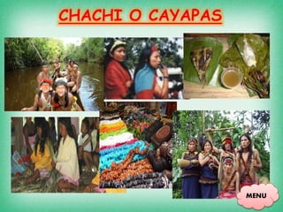 CHACHI O CAYAPAS
MENU
 