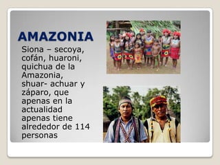 AMAZONIA
Siona – secoya,
cofán, huaroni,
quichua de la
Amazonia,
shuar- achuar y
záparo, que
apenas en la
actualidad
apenas tiene
alrededor de 114
personas
 