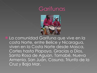 La comunidad Garifuna que vive en la costa Norte, entre Belice y Nicaragua, viven en la Costa Norte desde Masca, Cortes hasta Plapaya, Gracias a Dios, Santa Rosa de Aguan, Tornabé, Nueva Armenia, San Juán, Cosuna, Triunfo de la Cruz y Baja Mar.