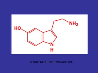 SEROTONINA NEUROTRANSMISOR
 