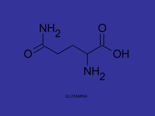 NH2               O

O                         OH
                 NH2

          GLUTAMINA
 