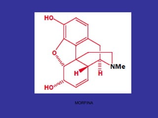 MORFINA
 