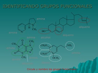 IDENTIFICANDO GRUPOS FUNCIONALES Circule y nombre los grupos funcionales. amina amina alcohol alqueno alqueno amida amida alqueno amina amina éteres amina 