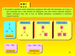 AMINAS metilamina dimetilamina CH 3    NH    CH 3 CH 3    NH 2  Se pueden considerar como compuestos orgánicos derivados del amoníaco, en el que se han sustituido uno o más átomos de hidrógeno, por otros tantos radicales alquilos. Según sustituyan uno, dos ó tres, se llaman primarias, secundarias o terciarias respectivamente PRIMARIA SECUNDARIA TERCIARIA amoníaco | N H H H | N H H R R  H R | N R  R     R | N 