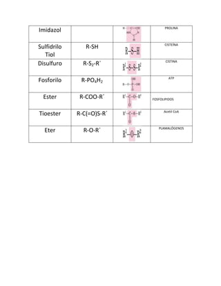 Grupos funcionales | DOCX