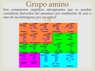 
Son compuestos orgánicos nitrogenados que se pueden
considerar derivados del amoniaco por sustitución de uno o
mas de sus hidrógenos por un radical
Grupo amino
 