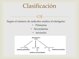 
Según el número de radicales unidos al nitrógeno:
• Primarias
• Secundarias
• terciarias
Clasificación
 