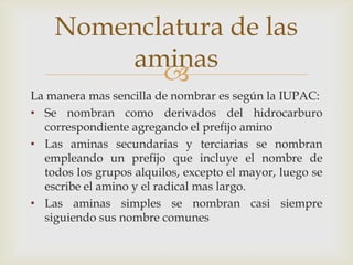 
La manera mas sencilla de nombrar es según la IUPAC:
• Se nombran como derivados del hidrocarburo
correspondiente agregando el prefijo amino
• Las aminas secundarias y terciarias se nombran
empleando un prefijo que incluye el nombre de
todos los grupos alquilos, excepto el mayor, luego se
escribe el amino y el radical mas largo.
• Las aminas simples se nombran casi siempre
siguiendo sus nombre comunes
Nomenclatura de las
aminas
 