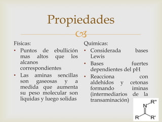
Propiedades
Físicas:
• Puntos de ebullición
mas altos que los
alcanos
correspondientes
• Las aminas sencillas
son gaseosas y a
medida que aumenta
su peso molecular son
liquidas y luego solidas
Químicas:
• Considerada bases
Lewis
• Bases fuertes
dependientes del pH
• Reacciona con
aldehídos y cetonas
formando iminas
(intermediarios de la
transaminación)
 