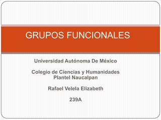 Universidad Autónoma De México
Colegio de Ciencias y Humanidades
Plantel Naucalpan
Rafael Velela Elizabeth
239A
GRUPOS FUNCIONALES
 