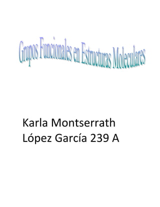 Karla Montserrath
López García 239 A
 