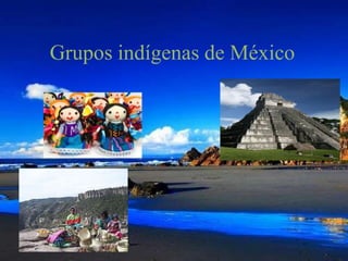 Grupos indígenas de México
 