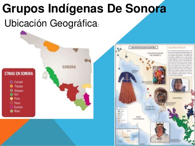 Grupos indígenas de sonora
