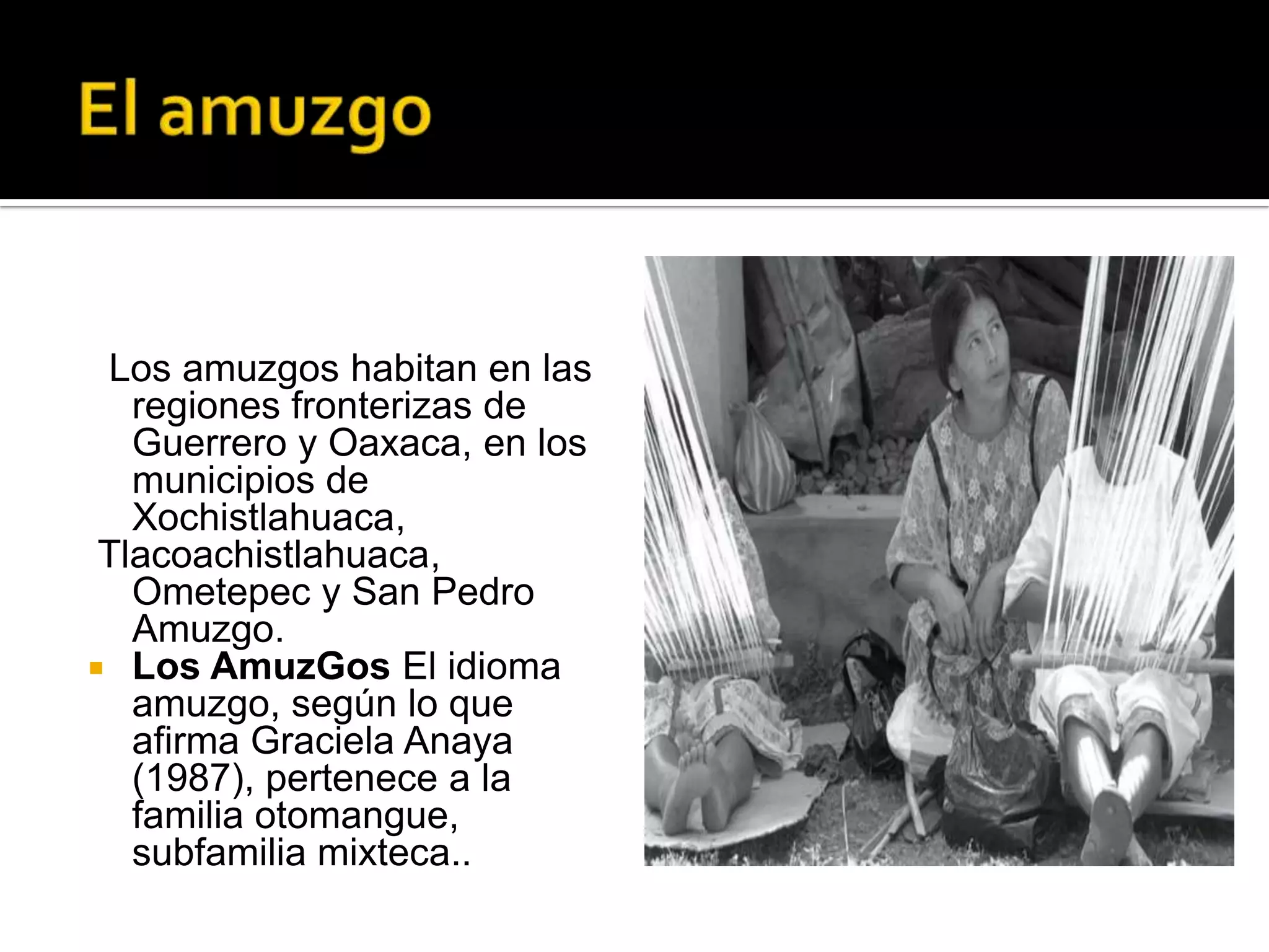 Los amuzgos habitan en las
regiones fronterizas de
Guerrero y Oaxaca, en los
municipios de
Xochistlahuaca,
Tlacoachistlahuaca,
Ometepec y San Pedro
Amuzgo.
Los AmuzGos El idioma
amuzgo, según lo que
afirma Graciela Anaya
(1987), pertenece a la
familia otomangue,
subfamilia mixteca..