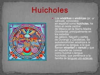  Los wixárikas o wixáricas (pr.   ui
  xáricas), conocidos
  en español como huicholes, ha
  bitan el oeste central
  de México en la Sierra Madre
  Occidental, principalmente en
  los estados
  de Jalisco, Nayarit y partes
  de Durango y Zacatecas. Se
  autodenominan wixárica a la
  gente en su lengua, a la que
  llaman wixaritari o vaniuki y que
  en español se conoce
  como huichol o lengua
  huichola), que pertenece a la
  familia de lenguas uto-aztecas.
 