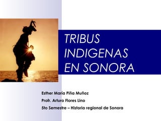 TRIBUS
INDIGENAS
EN SONORA
Esther María Piña Muñoz
Profr. Arturo Flores Lino
5to Semestre – Historia regional de Sonora

 