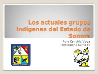 Los actuales grupos
indígenas del Estado de
Sonora
Por: Cynthia Vega
Preparatoria Santa Fe

 