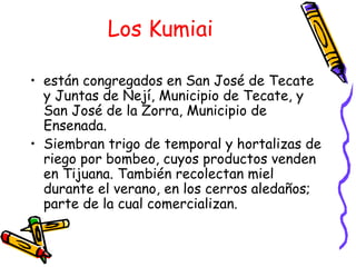 Los Kumiai <ul><li>están congregados en San José de Tecate y Juntas de Nejí, Municipio de Tecate, y San José de la Zorra, ...