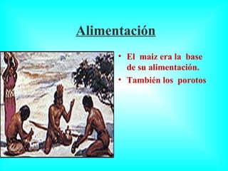 Alimentación El  maiz era la  base de su alimentación. También los  porotos  y el  zapallo  formaban  parte de  su dieta. 