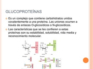 Grupos prostéticos asociados a proteínas
