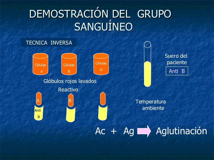 Grupos sanguineos