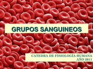 GRUPOS SANGUINEOS



    CATEDRA DE FISIOLOGÍA HUMANA
                          AÑO 2011
 
